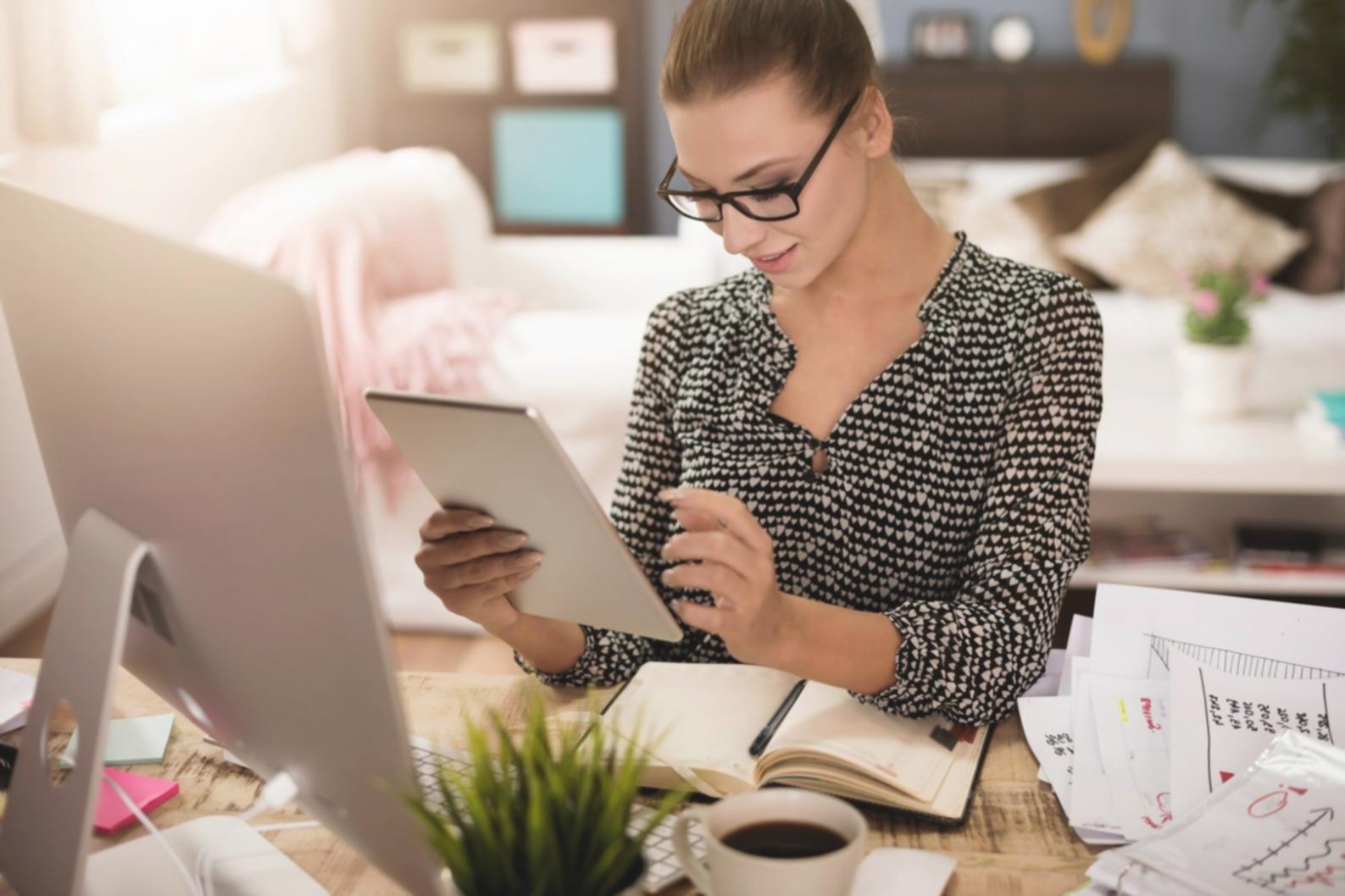E-shop s doplňky pro psy: analýza odhalila příčinu poklesu návštěvnosti
